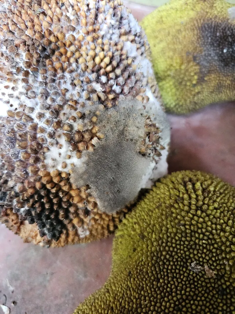 The Unsung MVPs: How Quiet Contributors Run the Show in Entertainment Communities